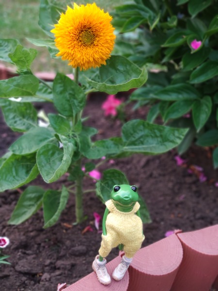 Лето с лягушками — Коллекционные куклы разных авторов (Разное): редкие бренды