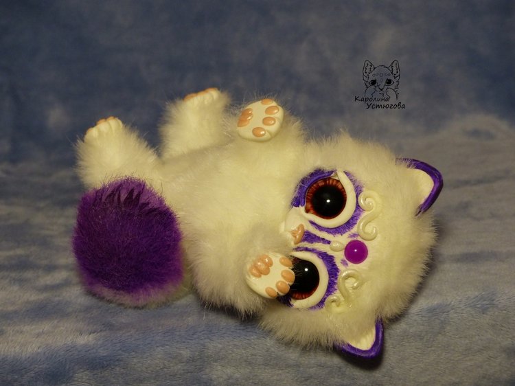 Королевские волшебные коты, породы: Мирис. В кадре и за кадром. Процесс