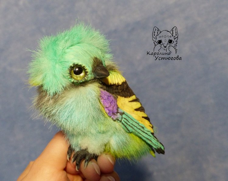 Зеленоголовая танагра, чудо птичка