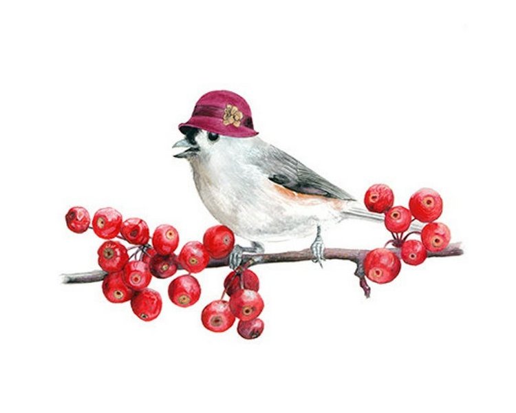 Birdswithhats - Авторские зарисовки "Птицы в шляпах" by Matt Decker (фото 7)