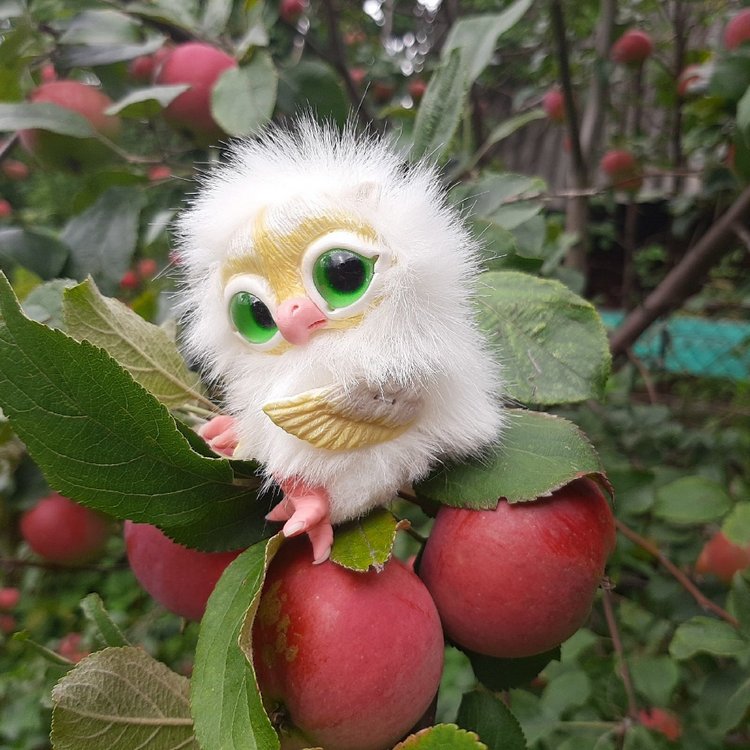 Последние денечки лета.... Совенок Желточек, дача и другие дачные жители (фото 2)