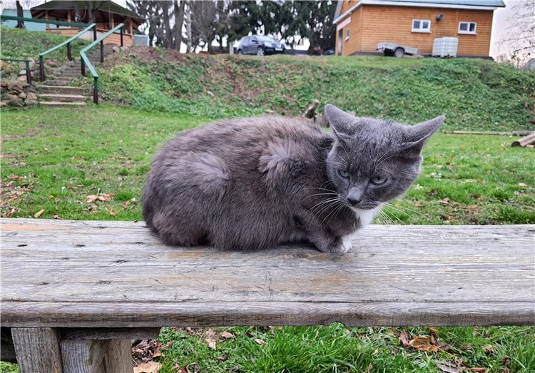 Путешествие по Святым местам Тверской области, продолжение
