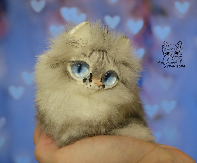 Котята Охос азулес. Чарующие глаза