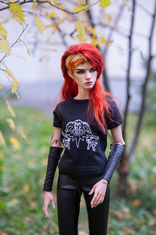 Осень для неформалов — Фотоистории с куклами BJD (БЖД): сериалы (фото 2)