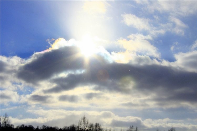 Зимняя прогулка Сони. Уникальная кукла от Сильвии Наттерер