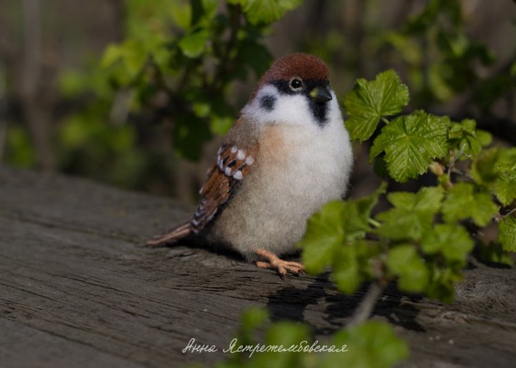 Воробушки — Валяные игрушки из шерсти: сухое валяние