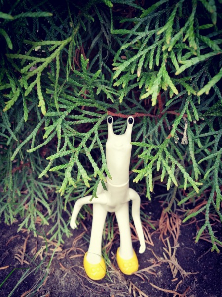 Добро пожаловать в удивительный мир Ванды