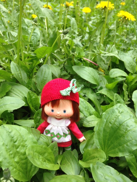 Весенне-земляничное настроение (фото 3)