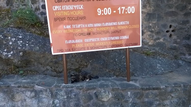 Экскурсия с Маргошей на Метеоры (материковая Греция) часть вторая