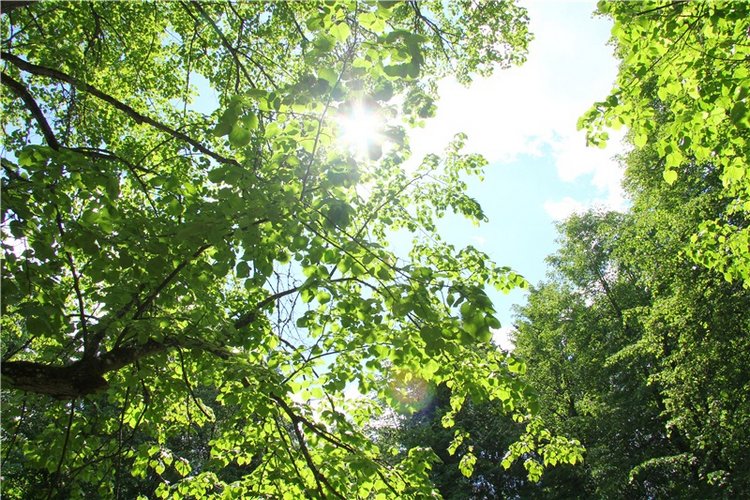 Я ехал к Вам! Пушкинский праздник в Берново, 2018 год