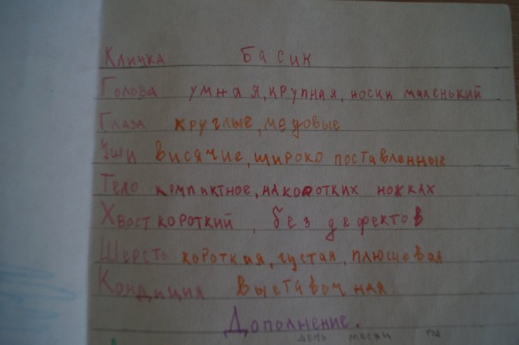 Как Агаша Басика сшила — Кот Басик