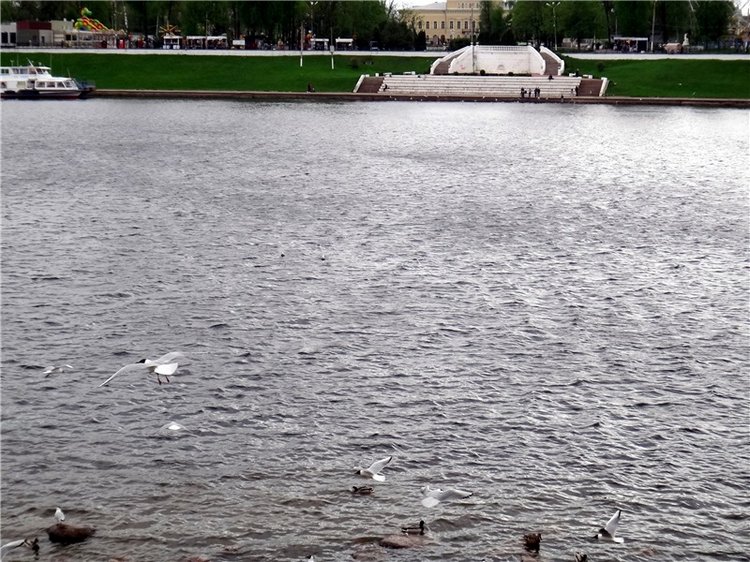 Милый мой город. Прогулка по Твери