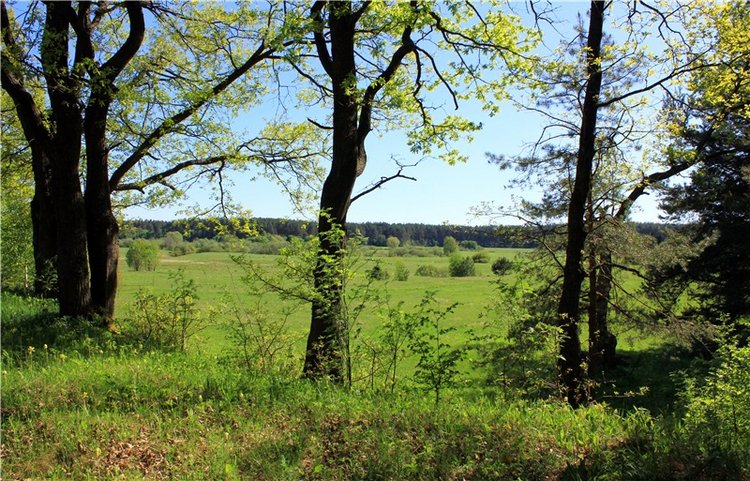 Ландыши - Светлого мая привет