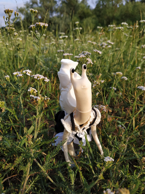 Wonderfrog. Красота в простоте