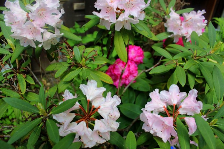 Любовь нечаянно нагрянет — Фэшн