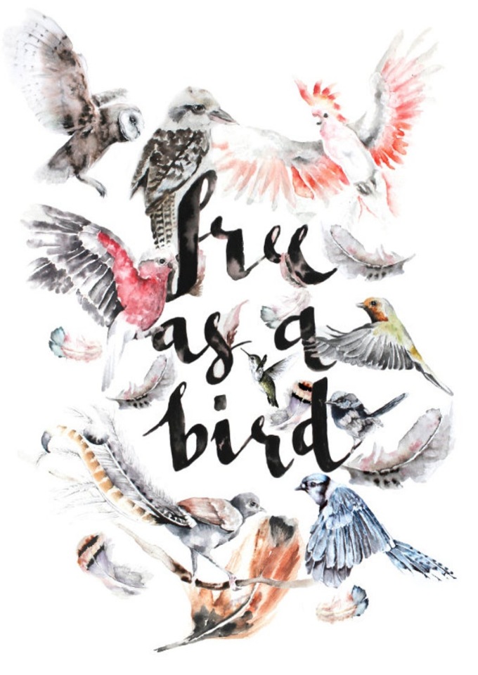 BrigitteMayArt - Иллюстрированная флора и фауна by Brigitte May