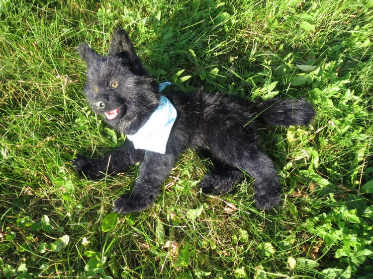 Мой домашний волчок — Домашние фото авторских игрушек: Тедди (фото 5)