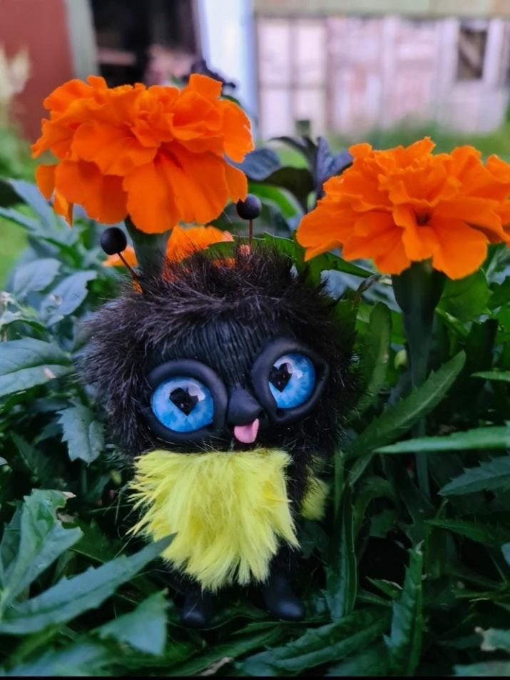 Шмелечек в новом доме. Яркие фотографии из жизни Шмеля