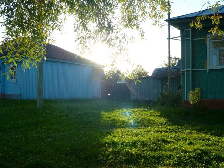 Отдых в деревне с Джой — Туризм и путешествия: фотоотчеты из поездок (фото 3)