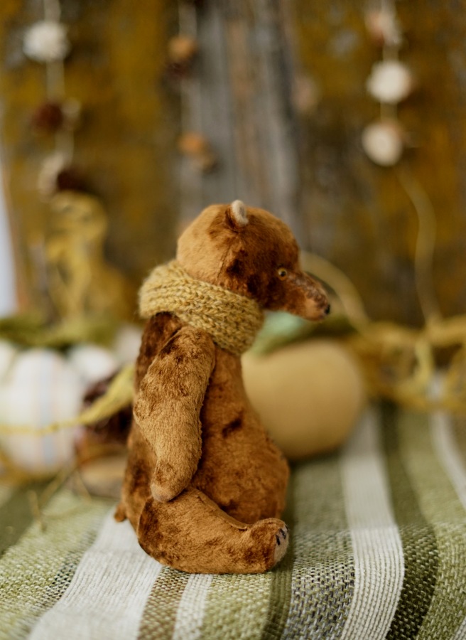 Последние осенние деньки — Другие хобби и увлечения: сад (фото 6)