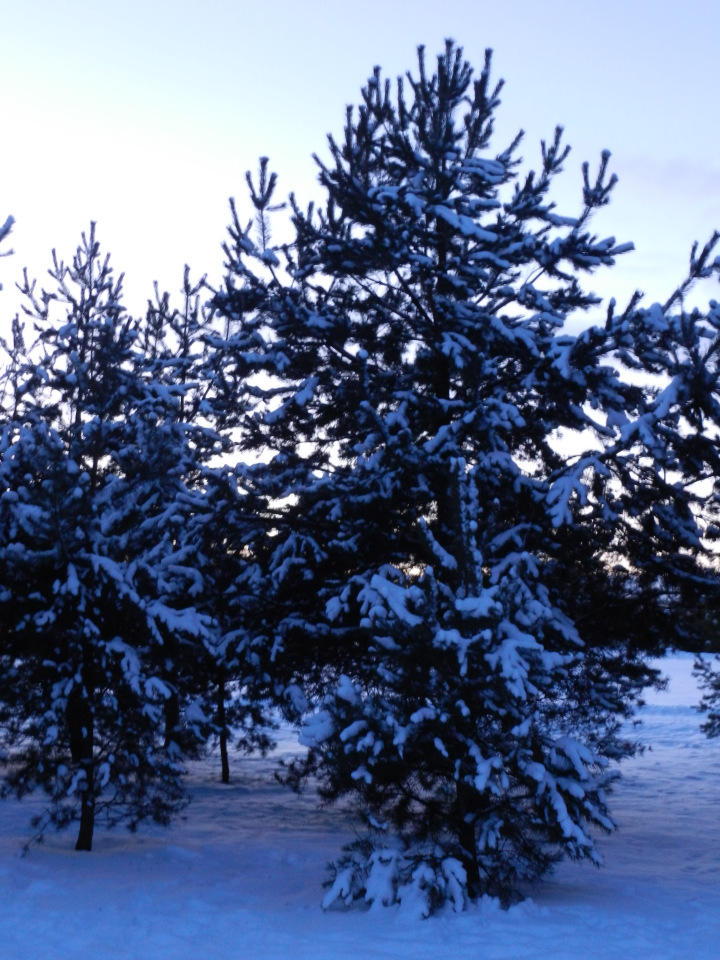 Кристинкина прогулка — Куклы Sissel Skille (Сиссель Скилле): Gotz (фото 3)