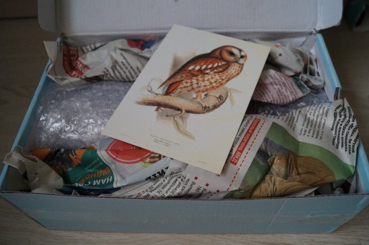 Посылочка с новыми пациентами (фото 2)