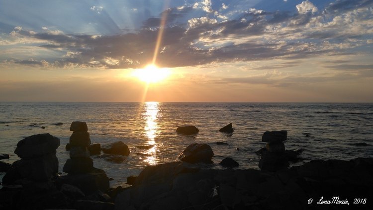 Kidz' тур. Юлино лето — Куклы Kidz'n'Cats (Соня Хартман): шарнирные 46 см