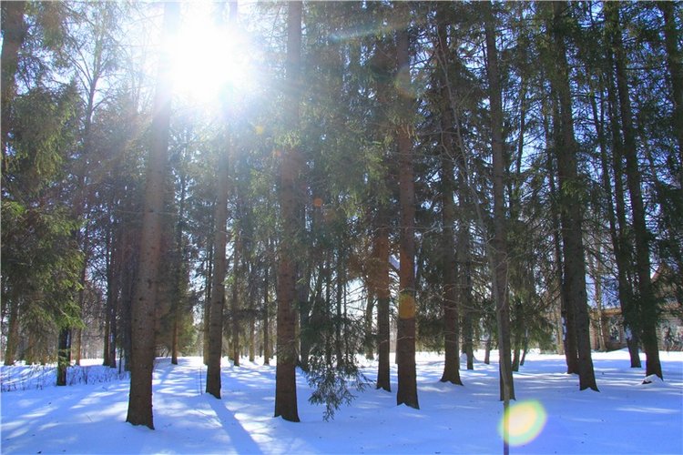 Снежный Март — Туризм и путешествия: фотоотчеты из поездок