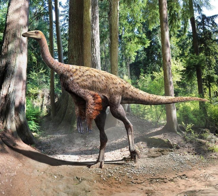 Милая сердцу Божедомка. Ч.5. Выставка "Парк янтарного периода". "Слезы Гелиад". "Янтарь и куклы"