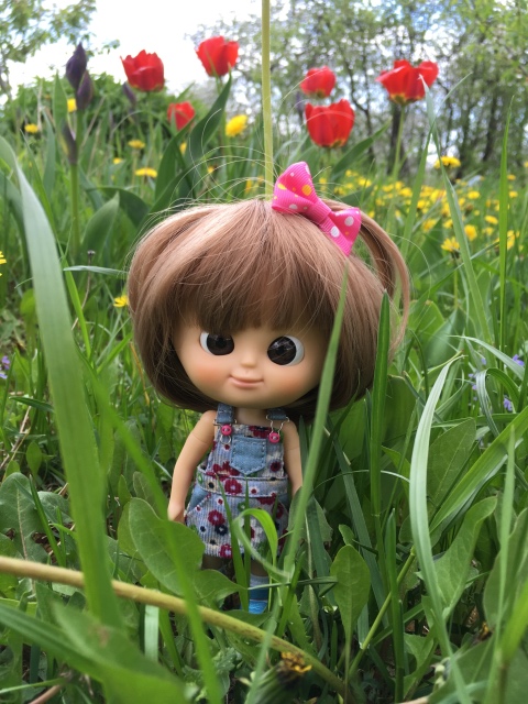 Поездка на дачу с Mui-chan, Migliorati и Sonny angel