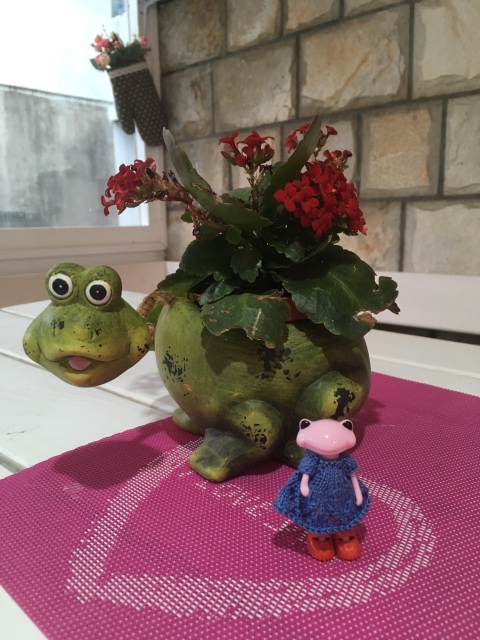 Таша Wonderfrog в Черногории