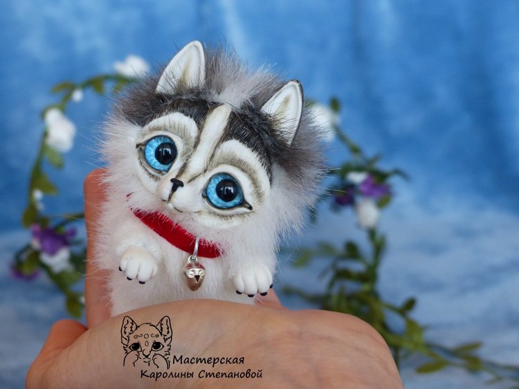 Малыш Хаски, крошка на ладошке. А может Хаски на Аляске? Или Хаски голубые глазки