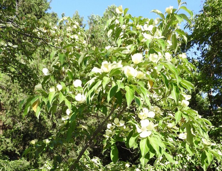 Краснодарский Край, Сочи-Адлер, Санаторий «Южное Взморье»