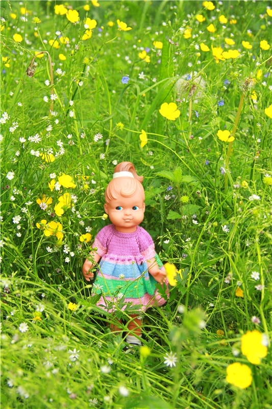 Встреча с бабочкой — Винтажные куклы ГДР (Немки): Бигги (фото 9)