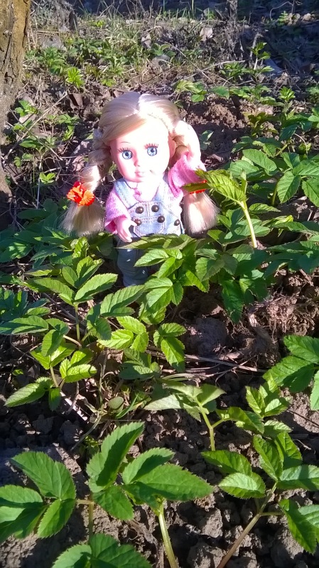 Галинка с Полинкой во саду ли в огороде