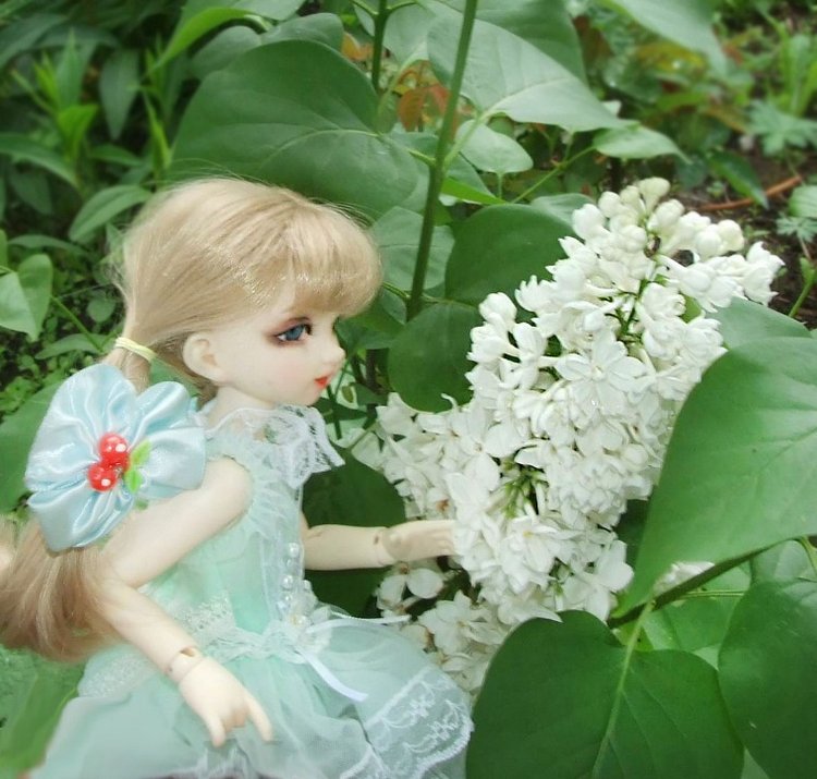 После дождичка в саду) — Красивая природа и цветы: фото пейзажей (фото 9)