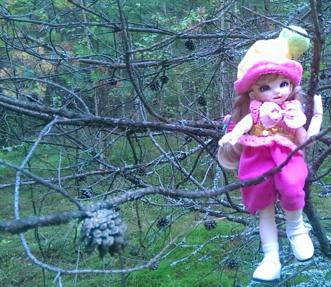 Лесные приключения... Волшебство, сосны, грибы, полетаем)