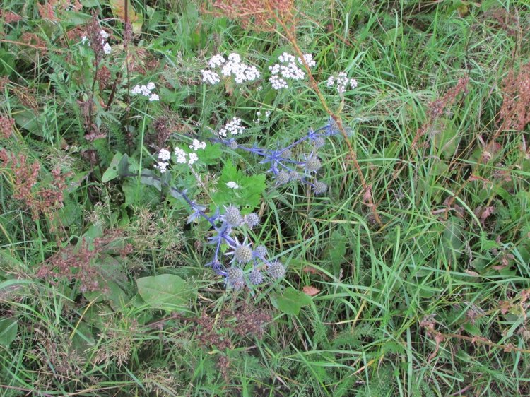 Путешествие в Нижегородскую область - часть 2 - Размещение в деревушке и прогулка по окресностям
