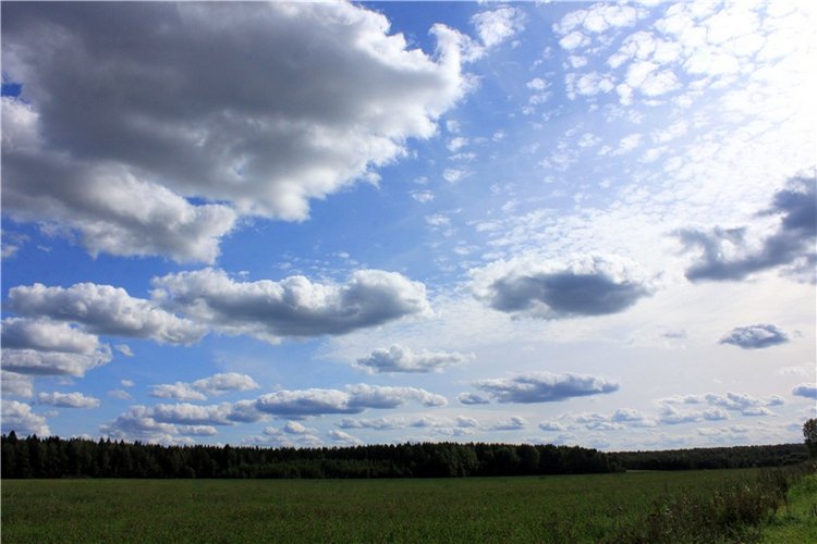 Странница во времени — Антикварные куклы Simon & Halbig (S&H): Симон Хальбиг (фото 4)