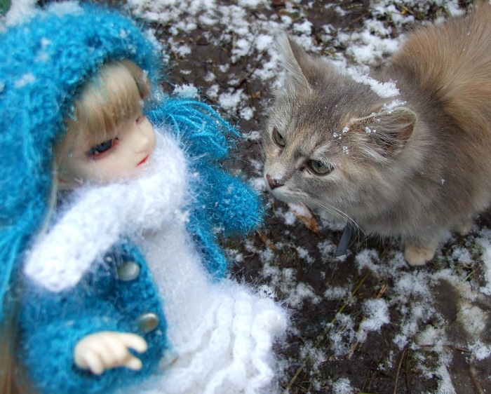 Утром кот принёс на лапах первый снег