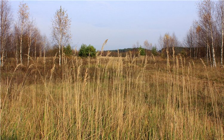 Гришутка — Винтажные куклы ГДР (Немки): Бигги