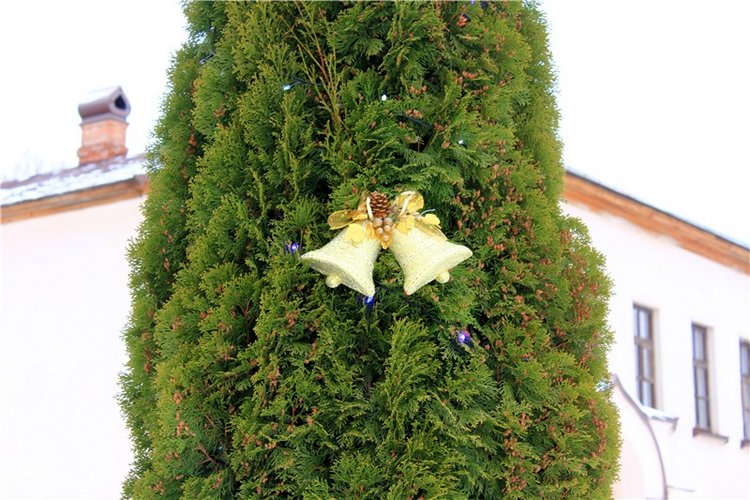 Рождественская Старица — Туризм и путешествия: фотоотчеты из поездок