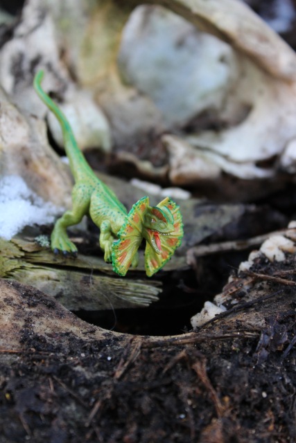 Вы коллекционируете динозавров (фото 10)