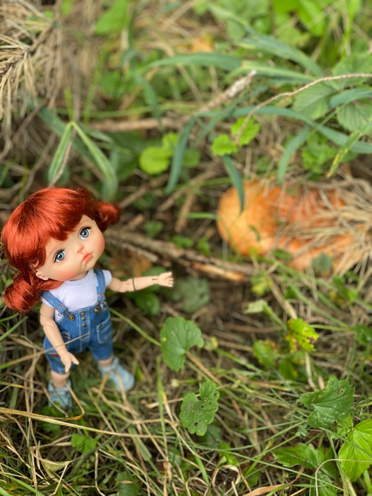Как Варя ходила за грибами. Fabbi Chibbi Meadow dolls | Бэйбики Как Варя ходила за грибами. Fabbi Chibbi Meadow dolls (фото 2)