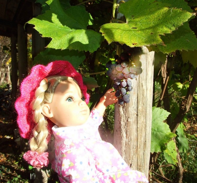 Линка и Иришка - сборщицы винограда | Бэйбики Линка и Иришка - сборщицы винограда