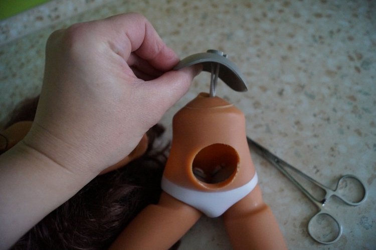 Вы ждали субботу? Заходите в гости! Выписка куколок