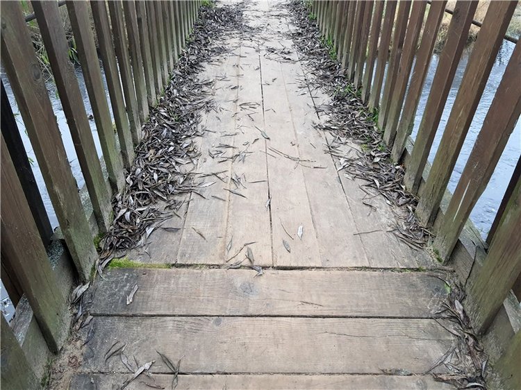 Путешествие по Святым местам Тверской области, продолжение