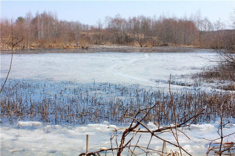 Имани и Водопад — Куклы Kaye Wiggs (Кайе Виггс): авторские BJD (БЖД) (фото 9)