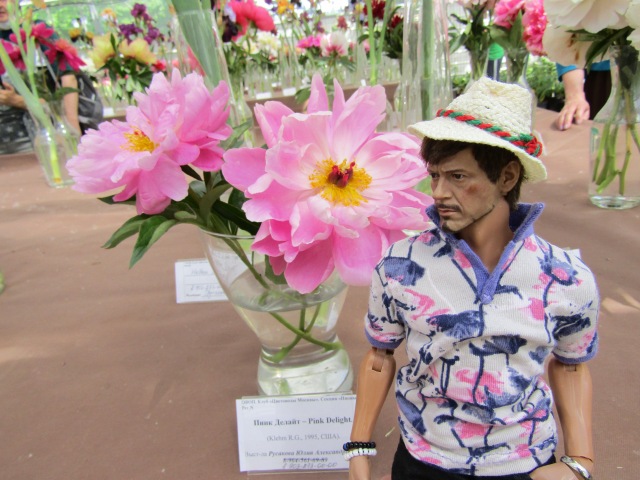 Тони Старк: приключения без брони. И снова Аптекарский огород | Бэйбики Тони Старк: приключения без брони. И снова Аптекарский огород