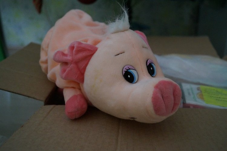 Приехала посылочка — Игровые куклы разных производителей (Разное): редкие бренды (фото 3)